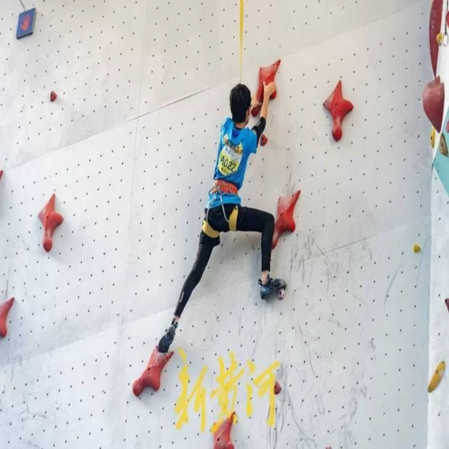欧洲赛场第238组晋级形势解析与战术分析